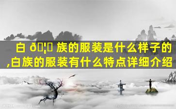 白 🦍 族的服装是什么样子的,白族的服装有什么特点详细介绍